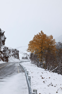 冰雪路面