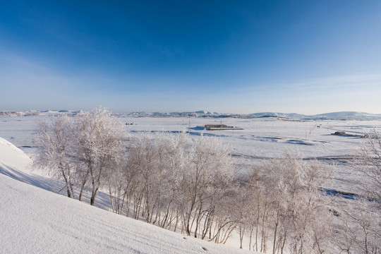 冬日雪原 白桦林 远山 农舍
