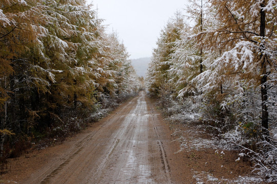 公路 秋天的雪