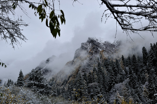 四姑娘山