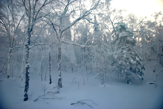 雪景