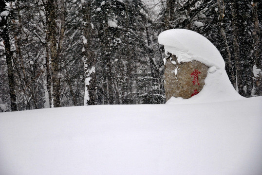 雪景