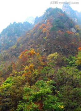 伏牛山老界岭景区风光