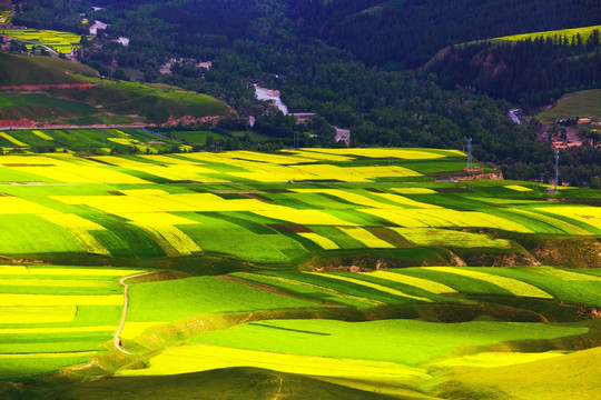 祁連山風光