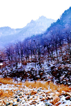 大山雪景如国画