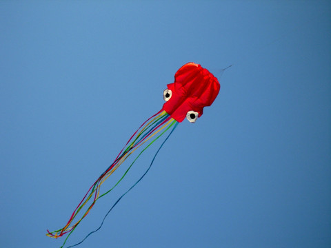 在空中飞翔的章鱼风筝