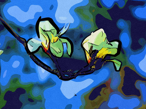 裝飾畫