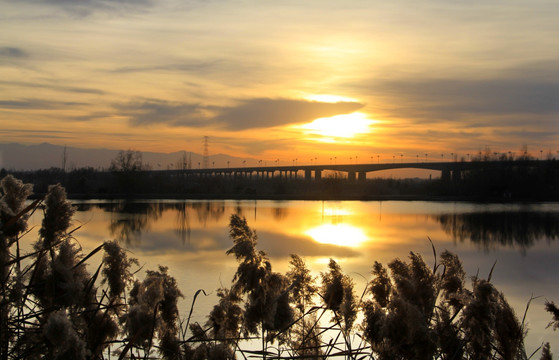 伊犁河畔的落日