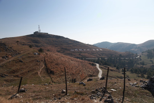 百里荒山楂树