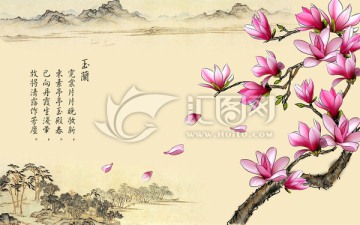 玉蘭花開壁紙 山水