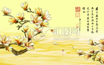 大型壁紙壁畫 玉蘭花開