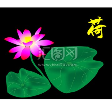荷花矢量圖