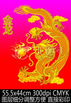 龍 金龍