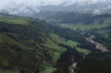 库尔德宁 天山牧场 绿河谷