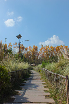 西昌 邛海湿地公园