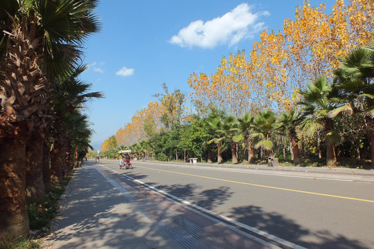 西昌 邛海湿地公园