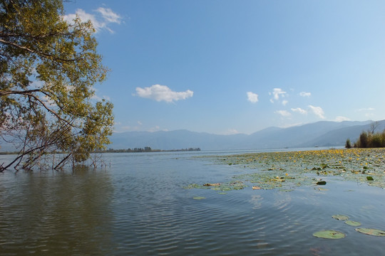 西昌 邛海湿地公园