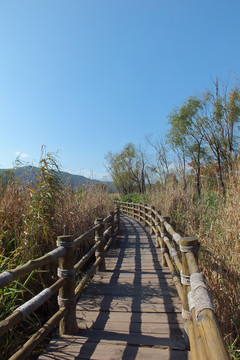 西昌 邛海湿地公园