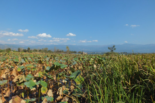 西昌 邛海湿地公园