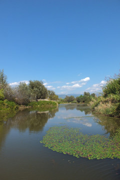 西昌 邛海湿地公园