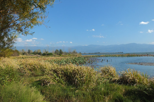 西昌 邛海湿地公园