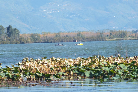 西昌 邛海湿地公园