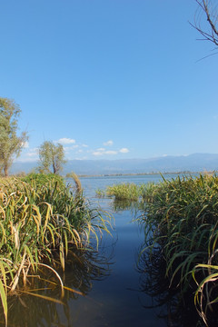 西昌 邛海湿地公园