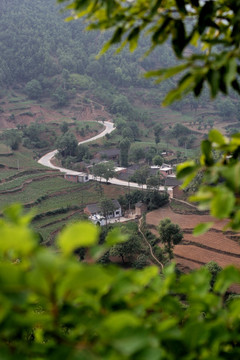 乡村风景