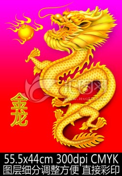 龍 金龍
