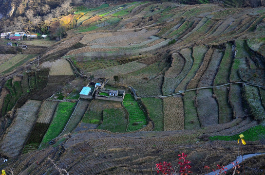 深山田园