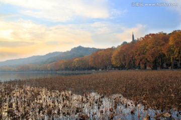 杭州 西湖 秋天 秋色