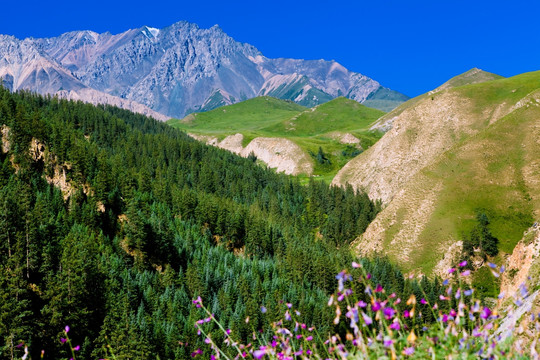 黑河大峡谷