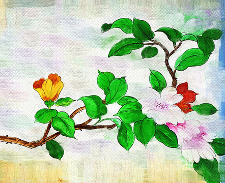牡丹花 抽象畫