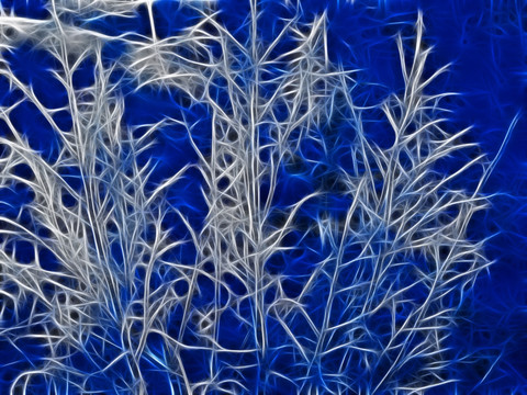 雪枝 電腦畫