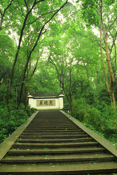 虎跑寺 虎跑泉 阶梯 杭州