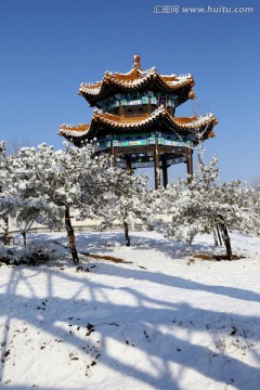 永定河森林公园雪景