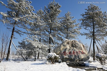 永定河森林公园雪景