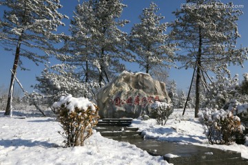 永定河森林公园雪景