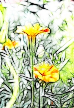 花兒