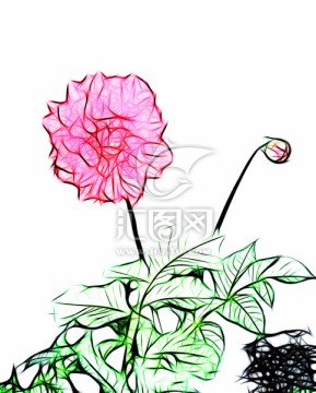 花