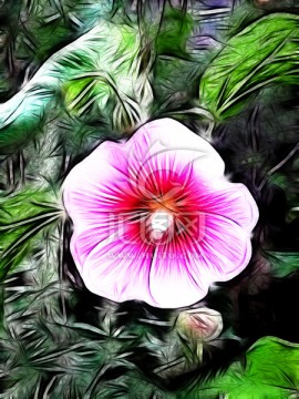 花兒