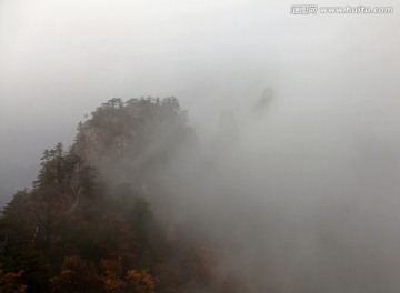 云遮雾罩的伏牛山老界岭