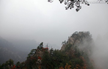 云雾飘渺的伏牛山老界岭山峰