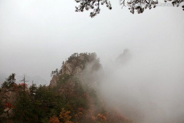 云雾飘渺的伏牛山老界岭山峰