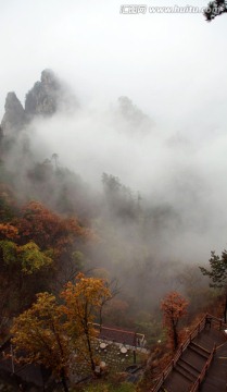 云遮雾罩的伏牛山老界岭