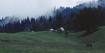 库尔德宁 云雾 天山牧场 毡房