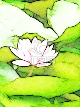 蓮花