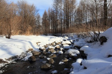 小溪 温泉 不冻泉 山泉 森林