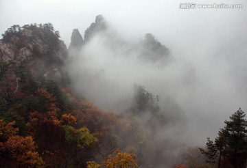 云遮雾罩的伏牛山老界岭