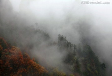 云遮雾罩的伏牛山老界岭